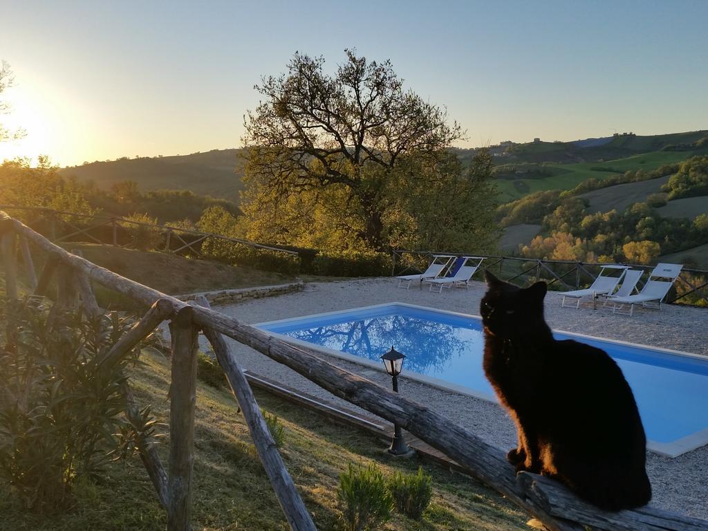 Agriturismo Tre Querce Penna San Giovanni Екстериор снимка